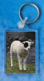 Patch Lamb 1 keyring